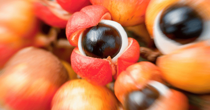 guarana